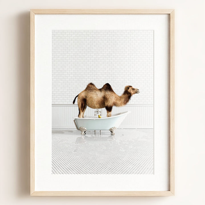 Camel in Blue Bathtub