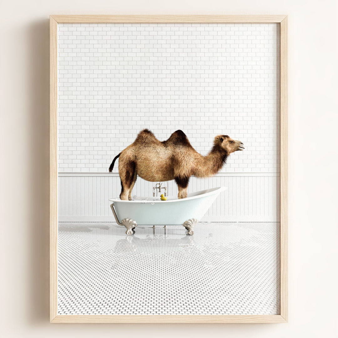 Camel in Blue Bathtub