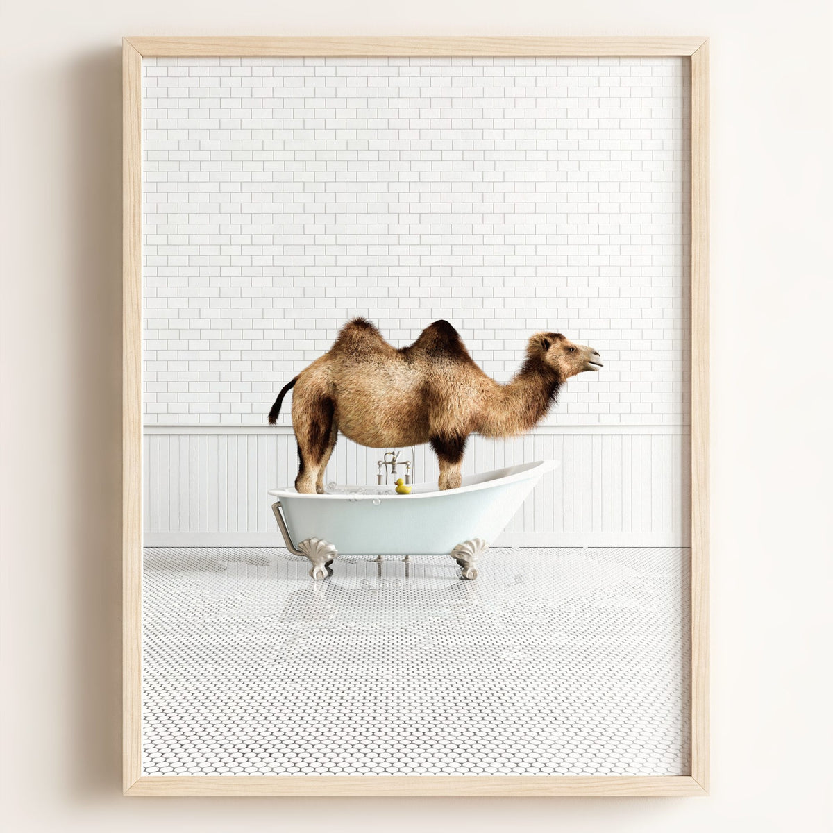 Camel in Blue Bathtub - Framed Art