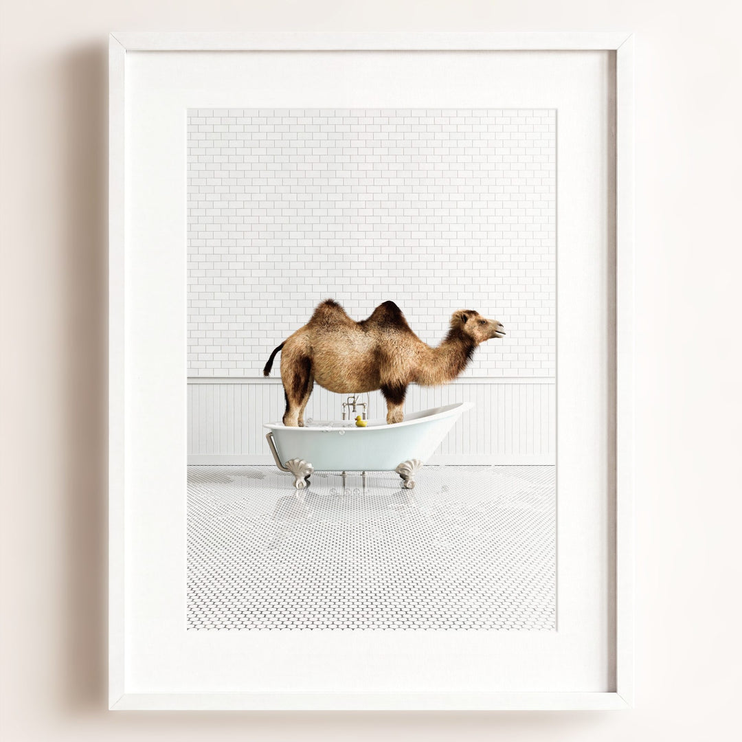 Camel in Blue Bathtub