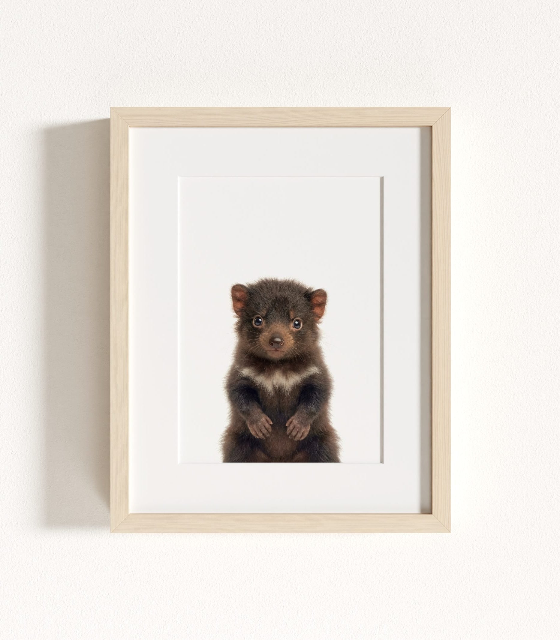 The Baby Animals 2026 Collection