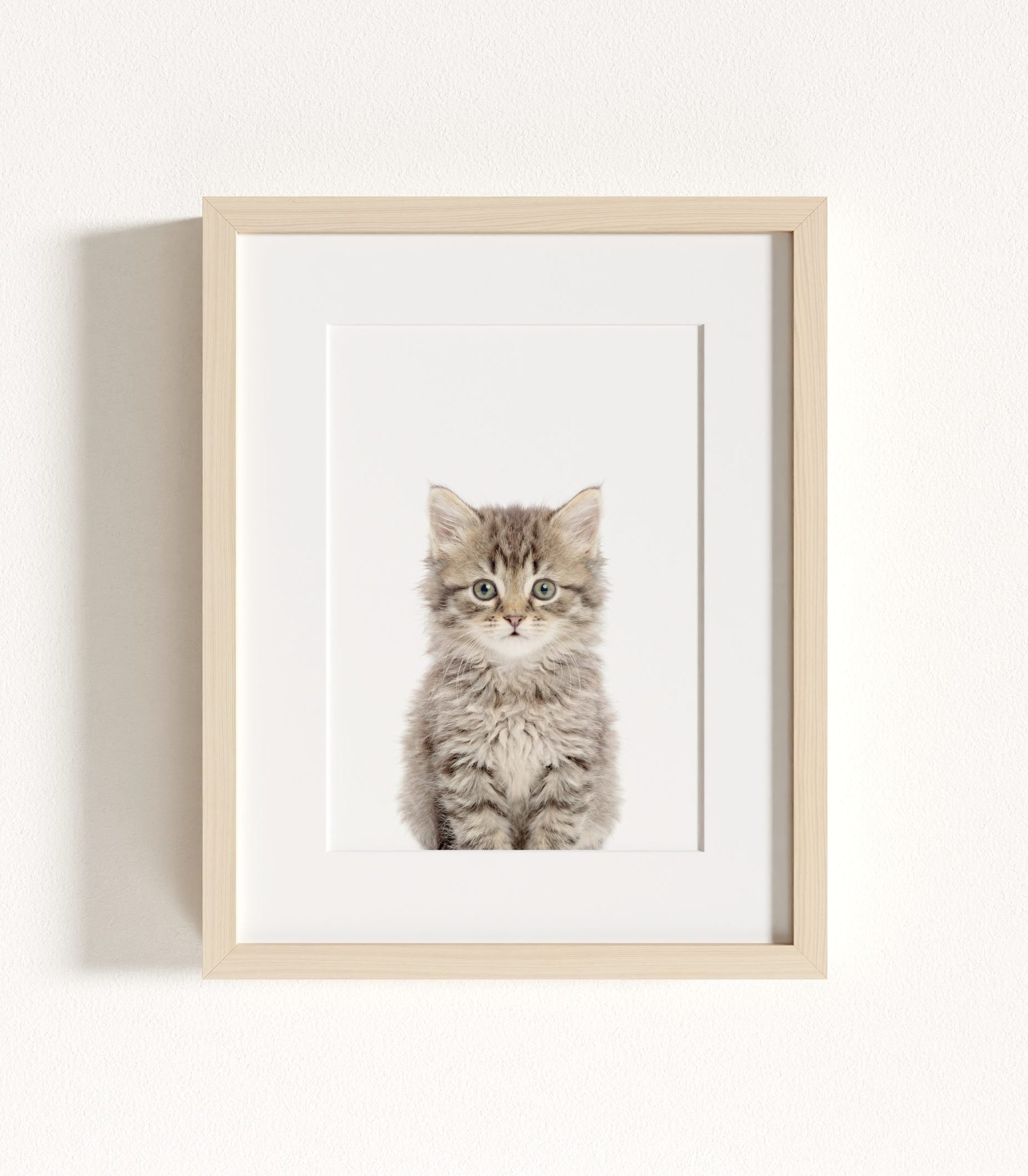 The Baby Animals 2026 Collection