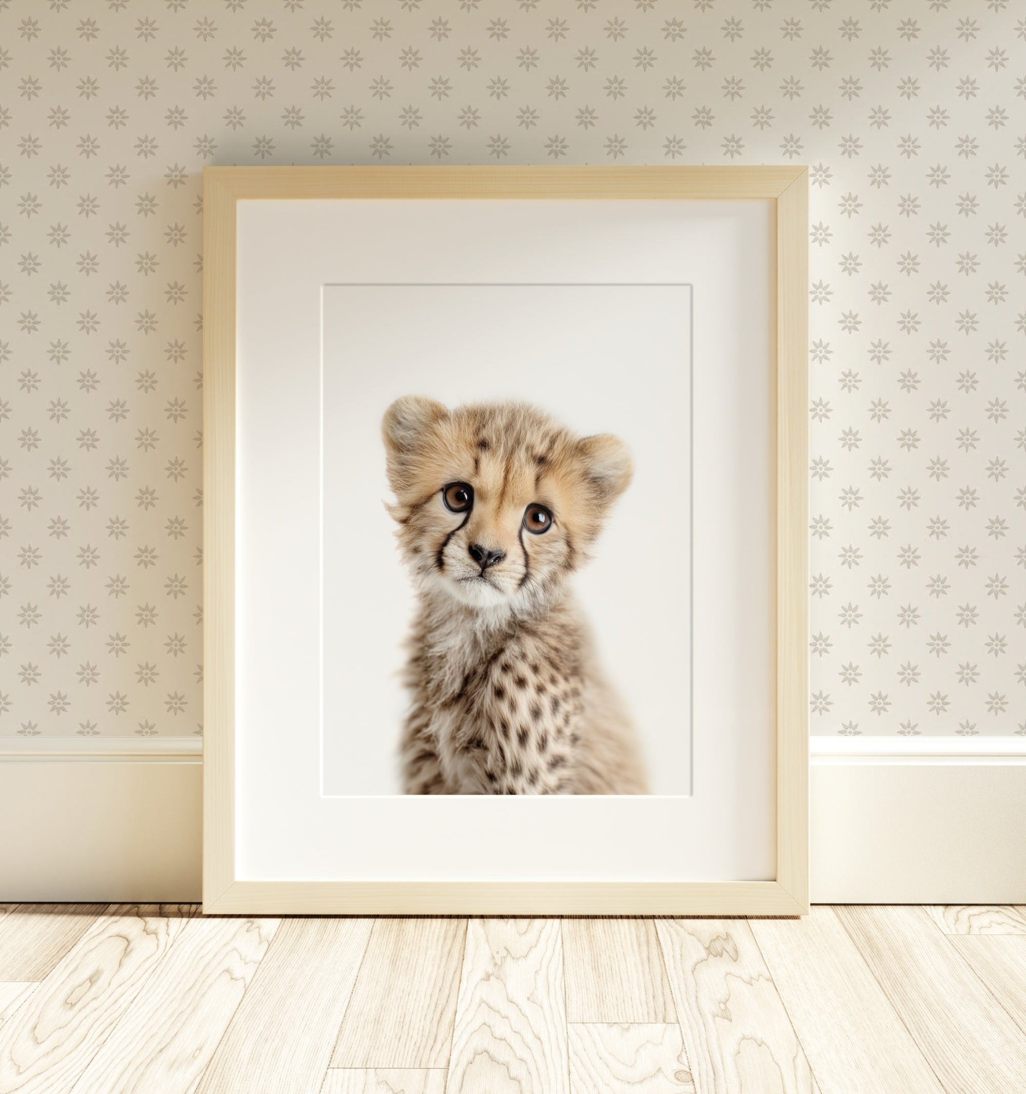 The Baby Animals 2026 Collection - Classic