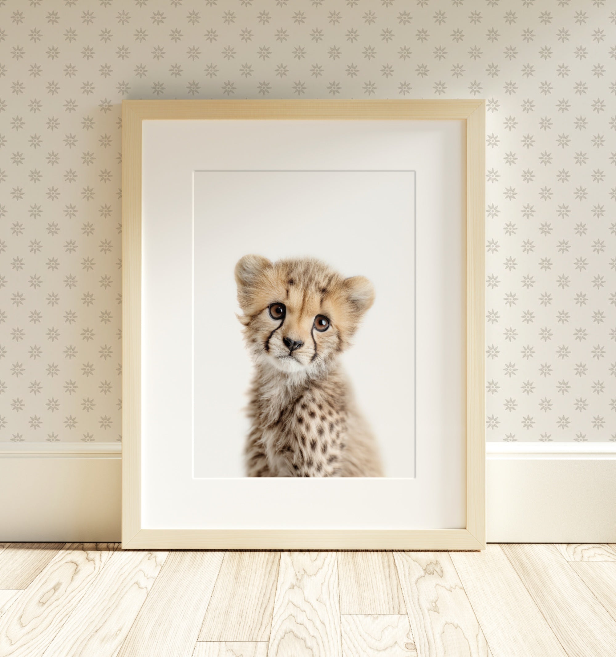 The Baby Animals 2026 Collection - Classic