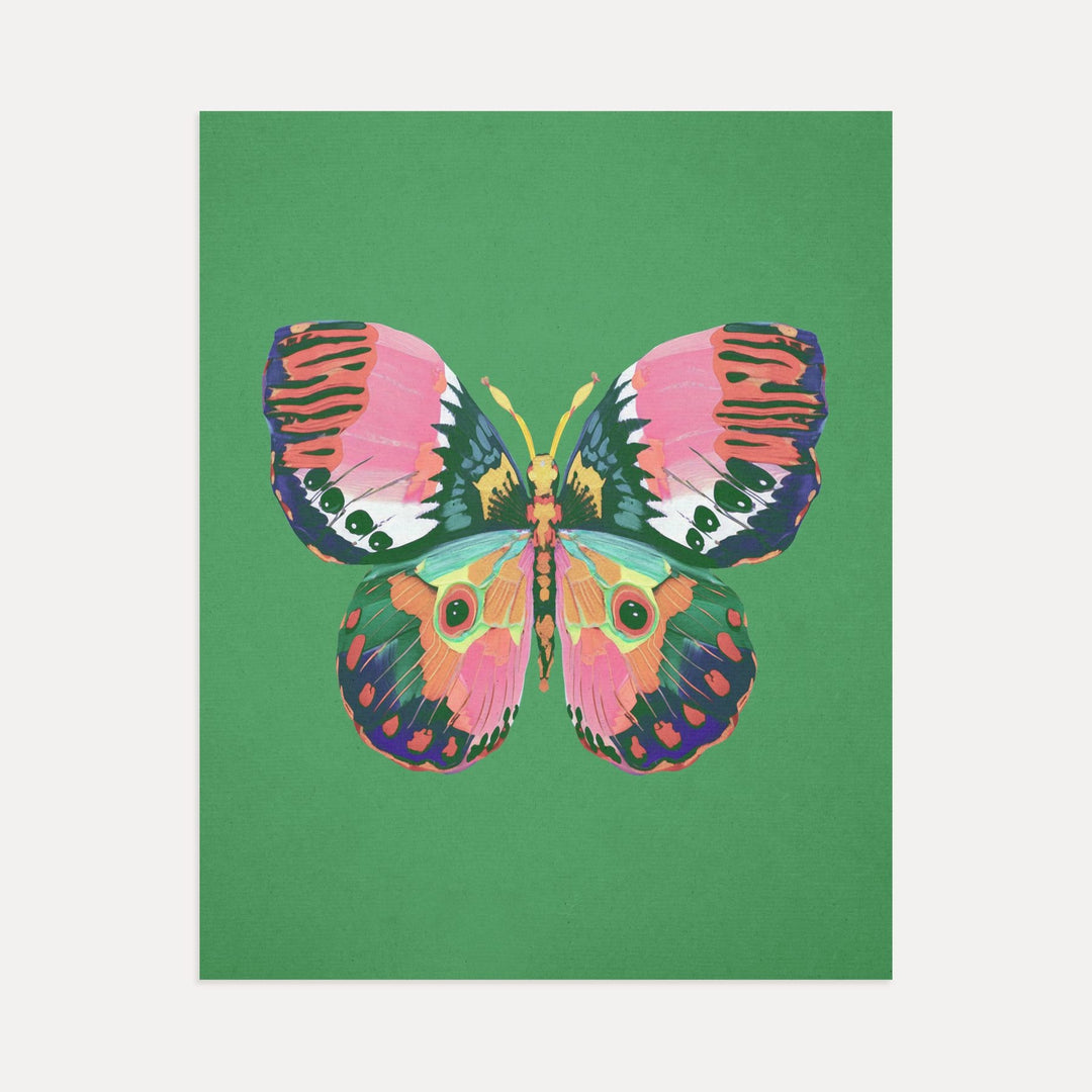 Color Bloom Butterflies Set of 9