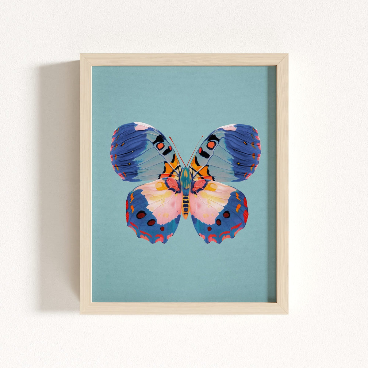 Color Bloom Butterflies Set of 9