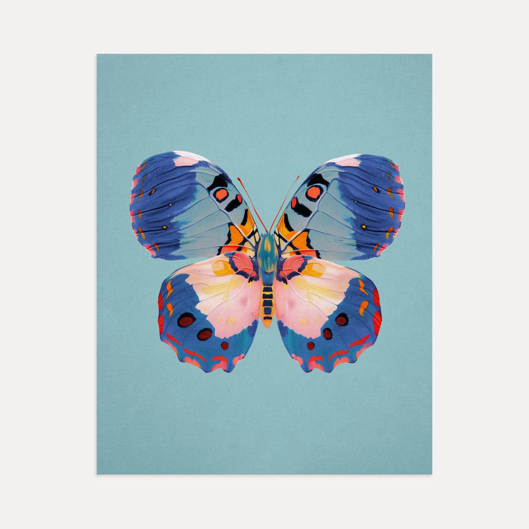 Color Bloom Butterflies Set of 9