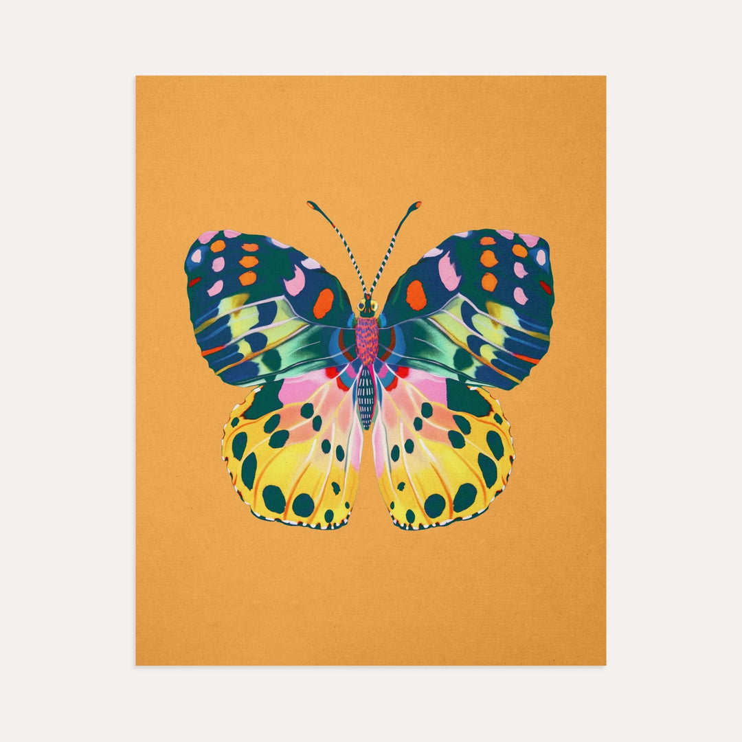 Color Bloom Butterflies Set of 9