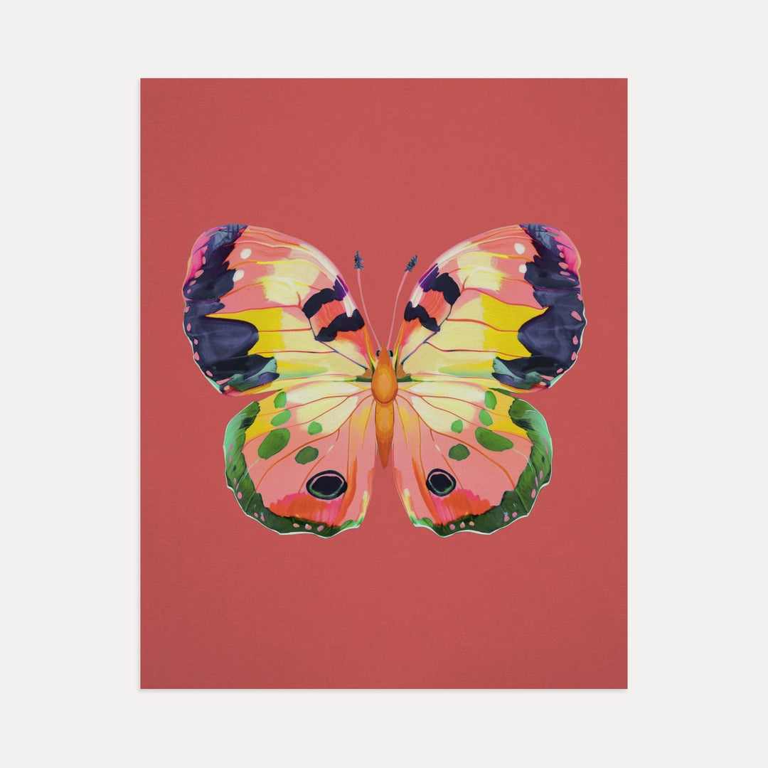 Color Bloom Butterflies Set of 9