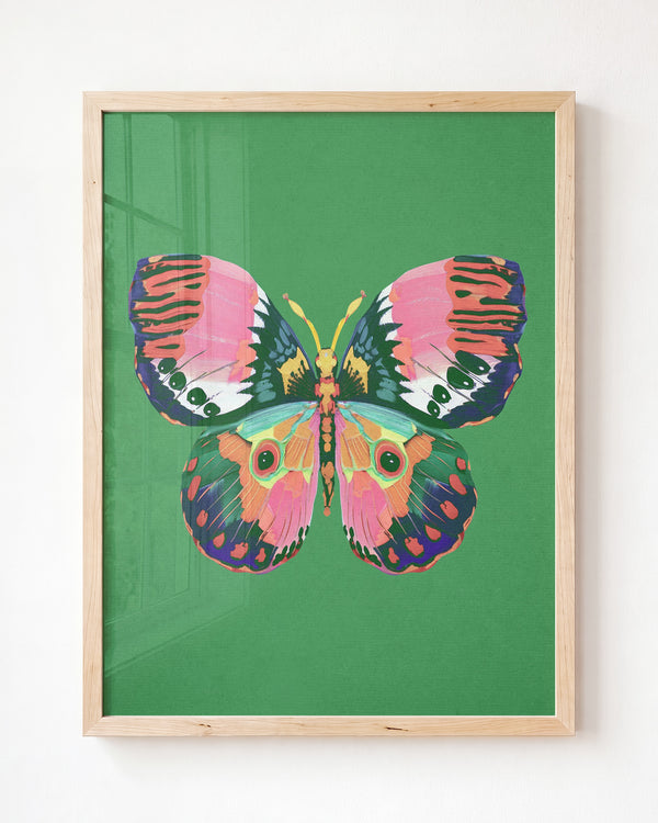 Color Bloom Butterfly Collection - Framed Art