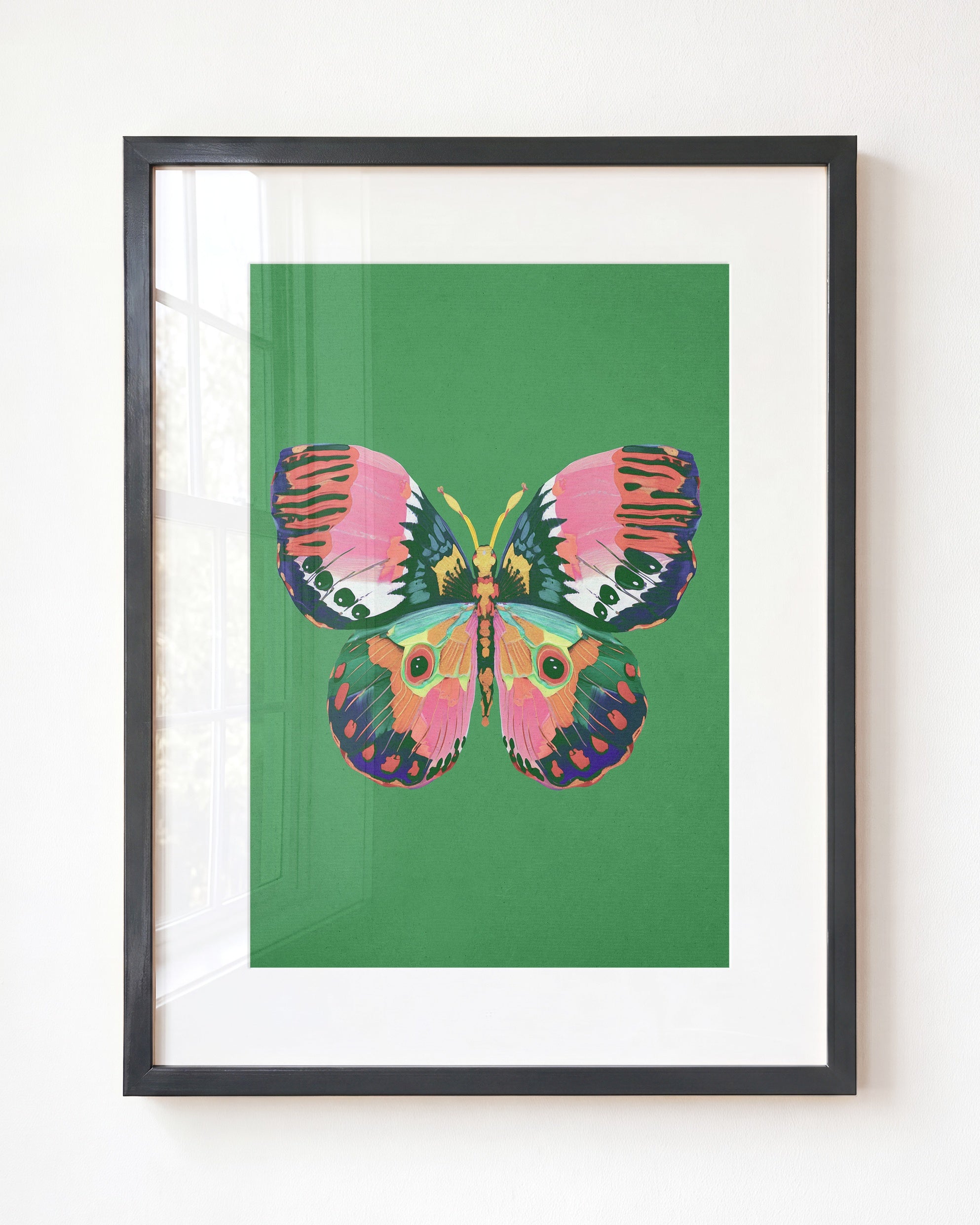Color Bloom Butterfly Collection