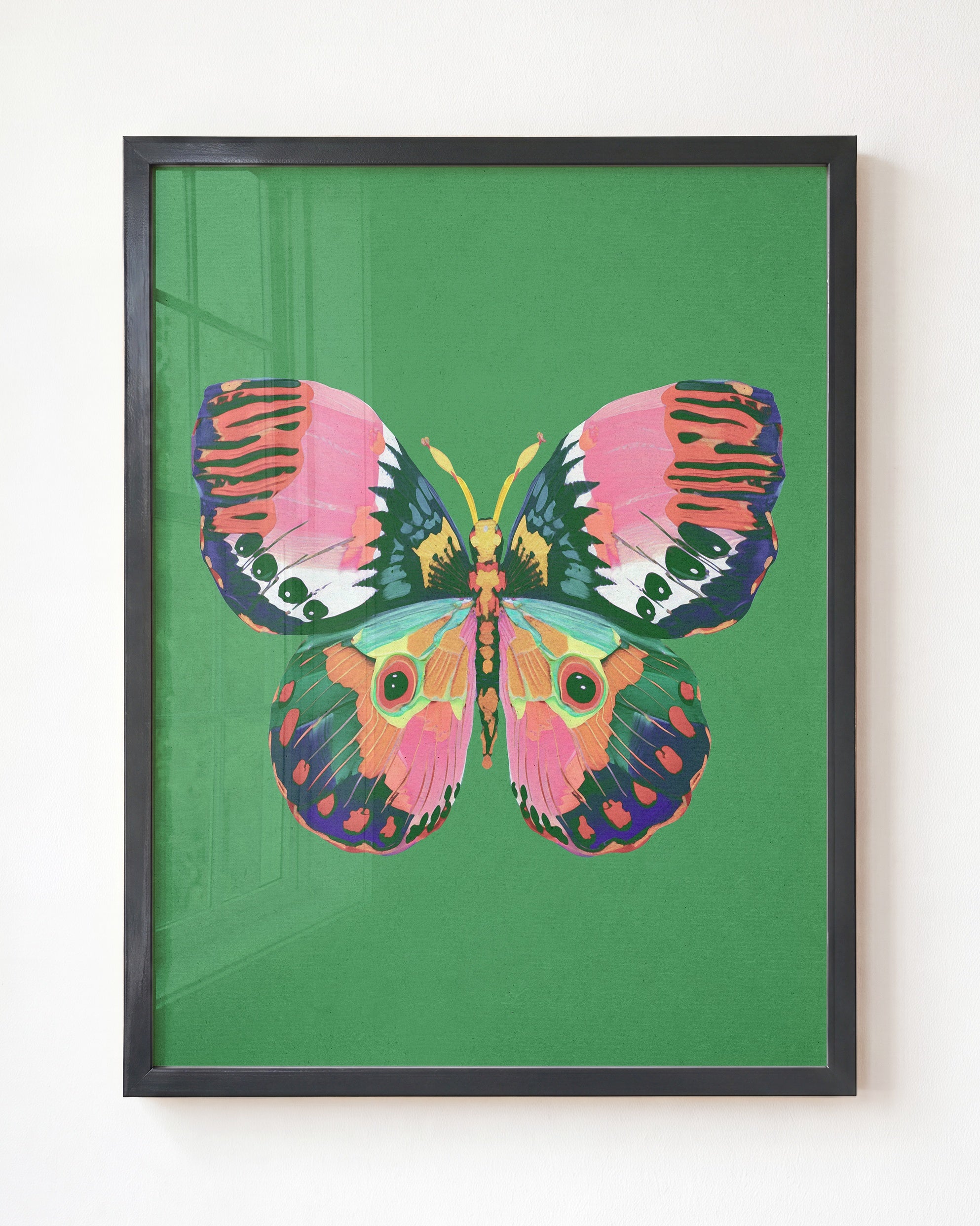 Color Bloom Butterfly Collection