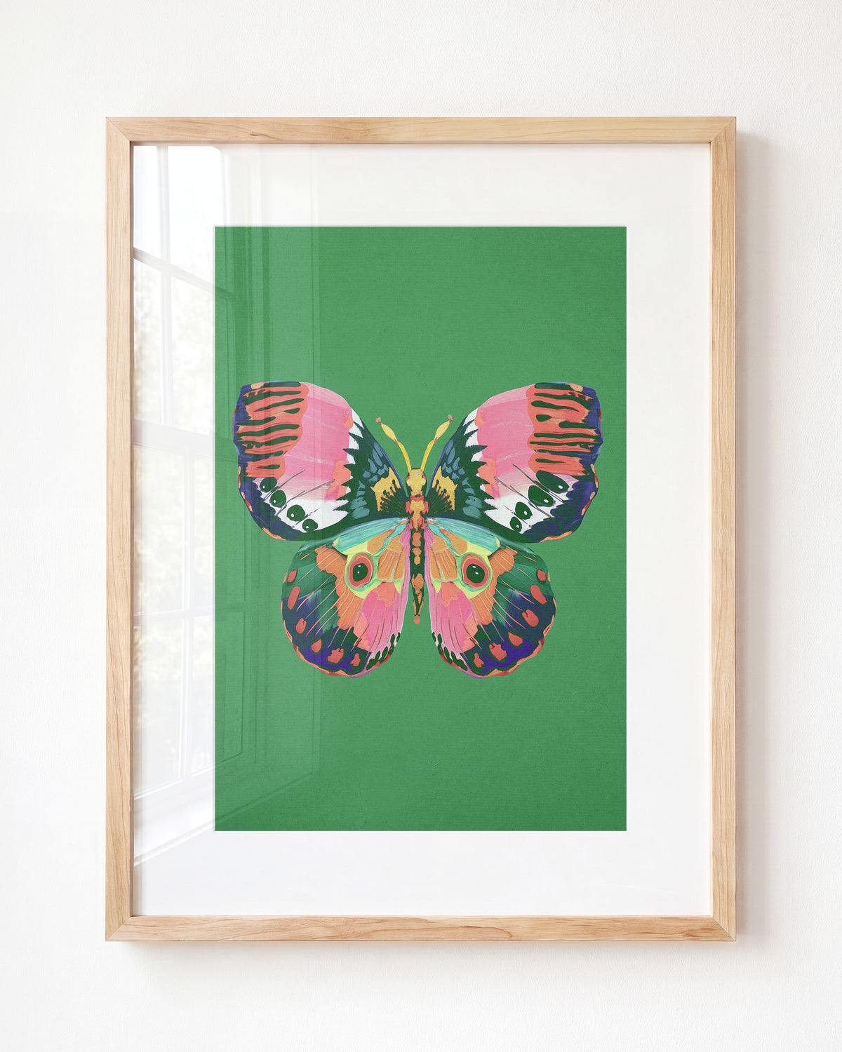 Color Bloom Butterfly Collection