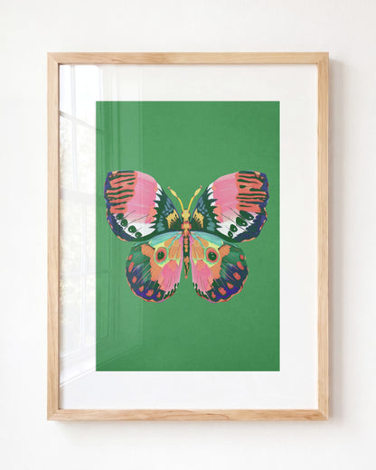 Color Bloom Butterfly Collection