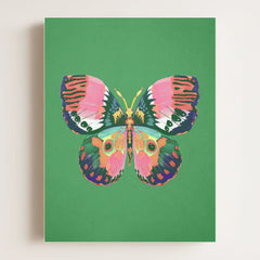 Color Bloom Butterfly Collection