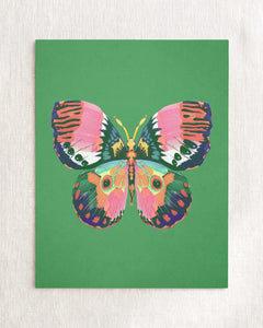 Color Bloom Butterfly Collection