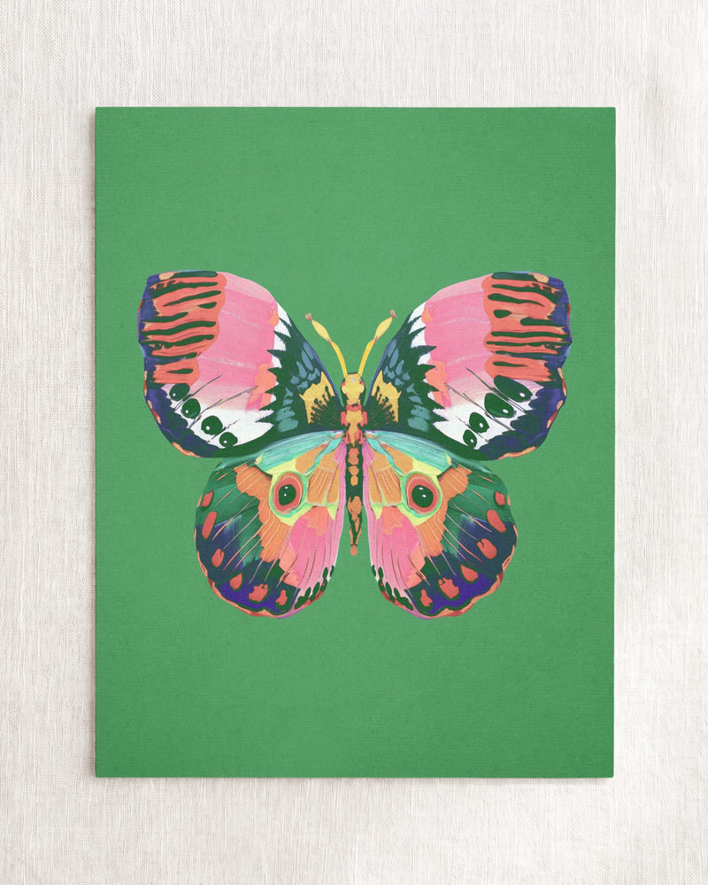 Butterfly 1