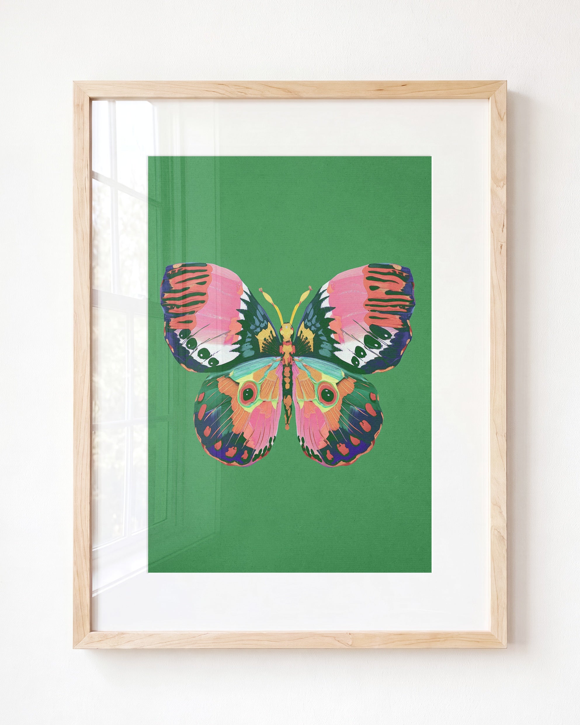 Color Bloom Butterfly Collection