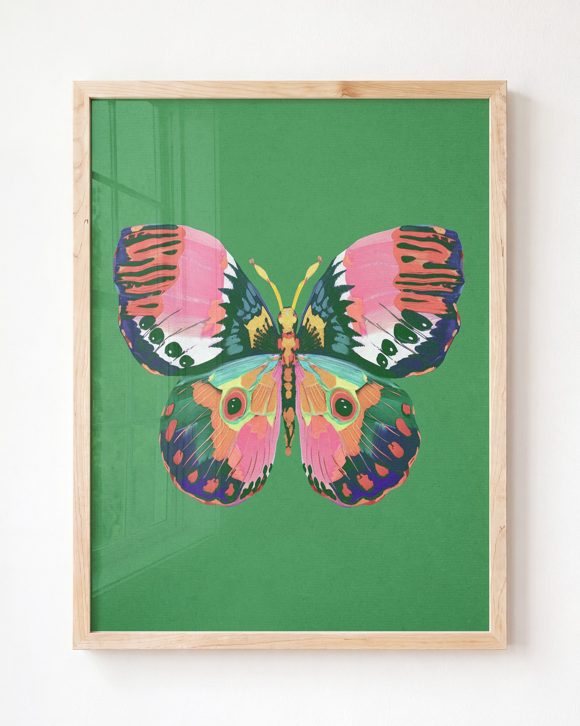 Color Bloom Butterfly Collection