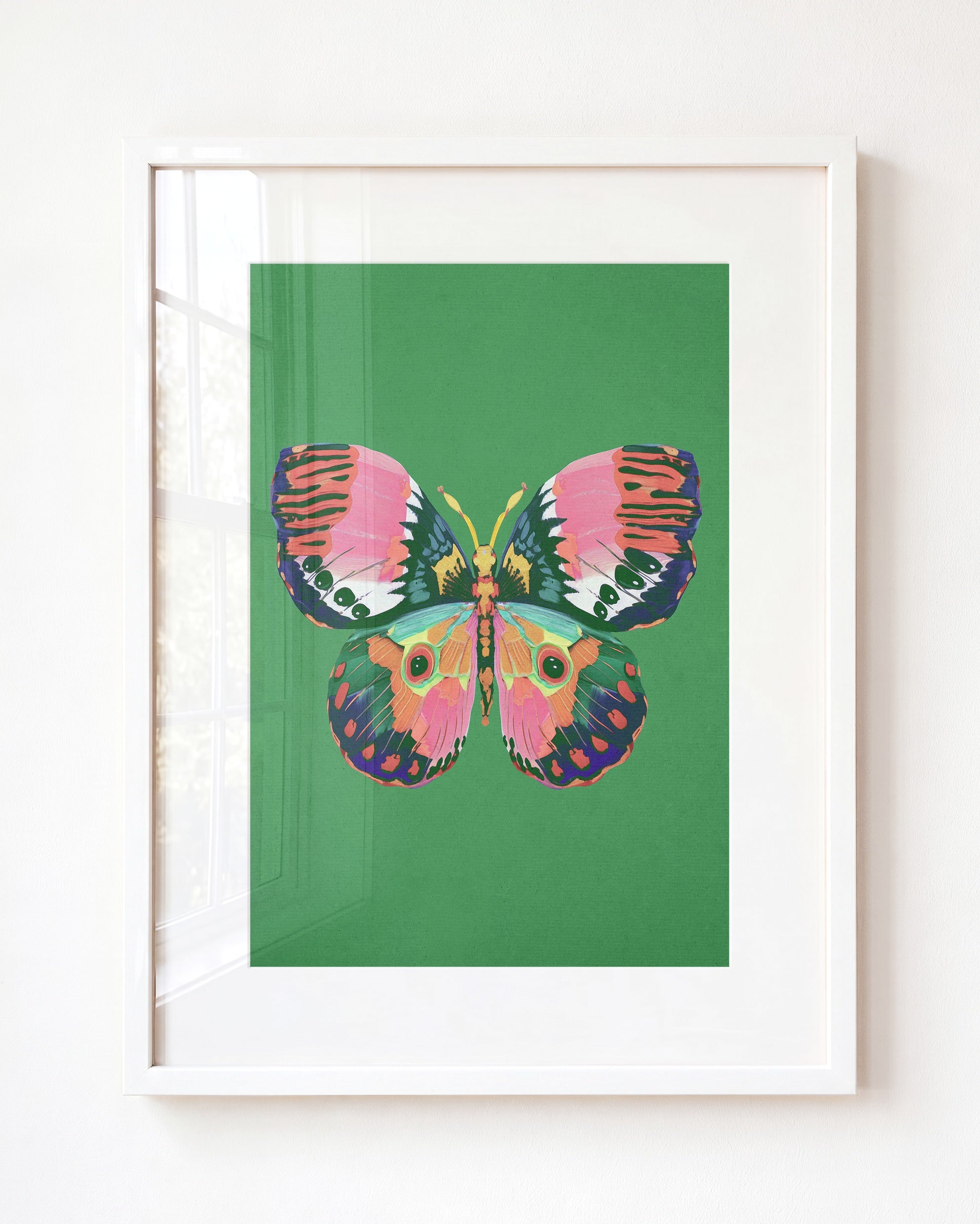 Color Bloom Butterfly Collection