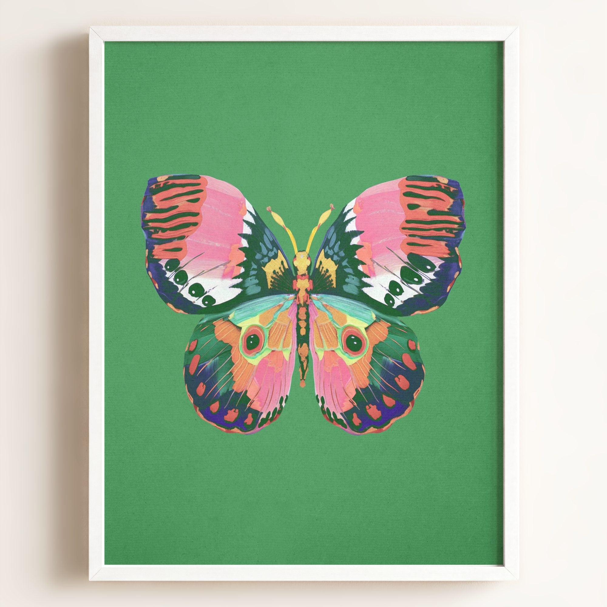 Color Bloom Butterfly Collection