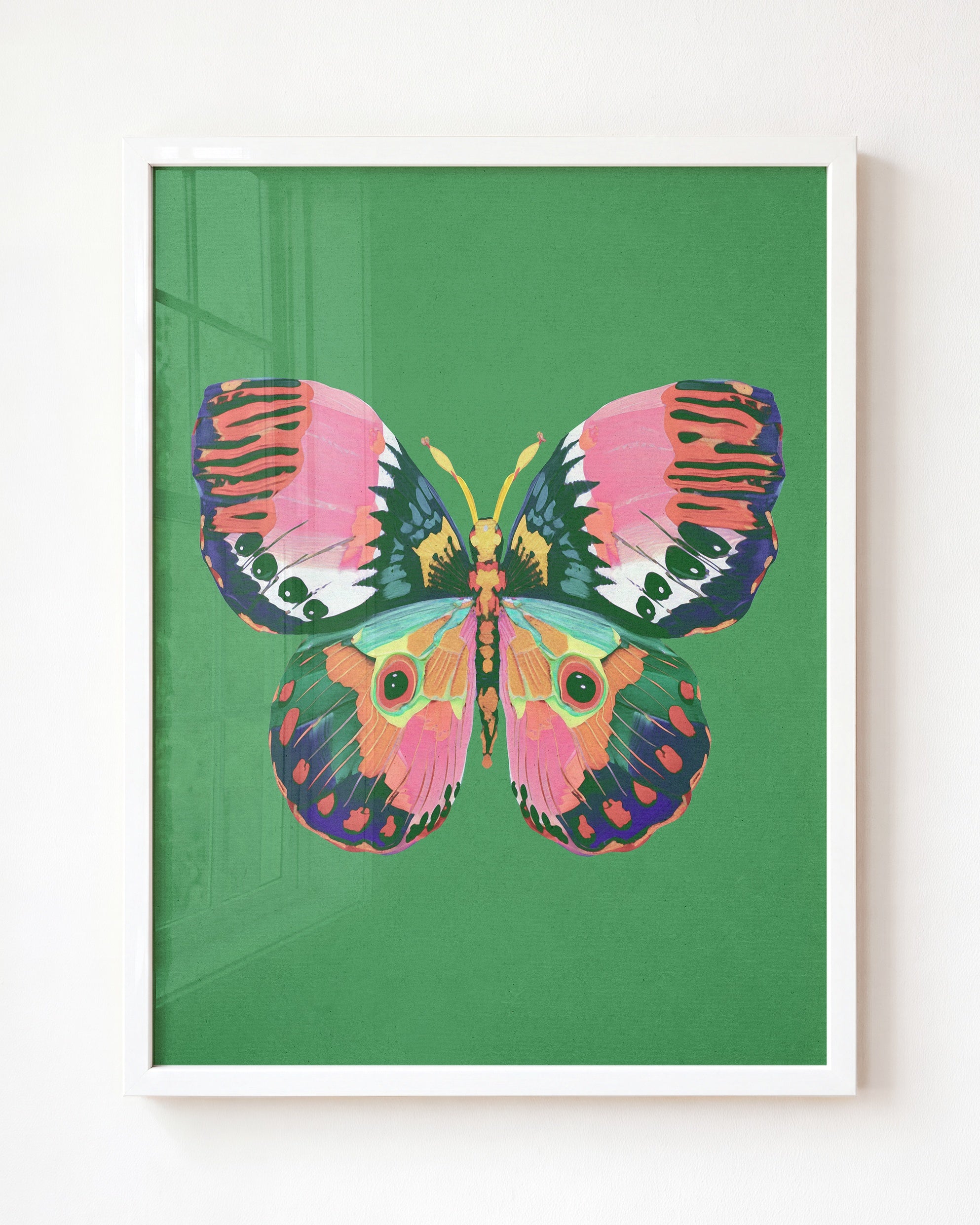 Color Bloom Butterfly Collection