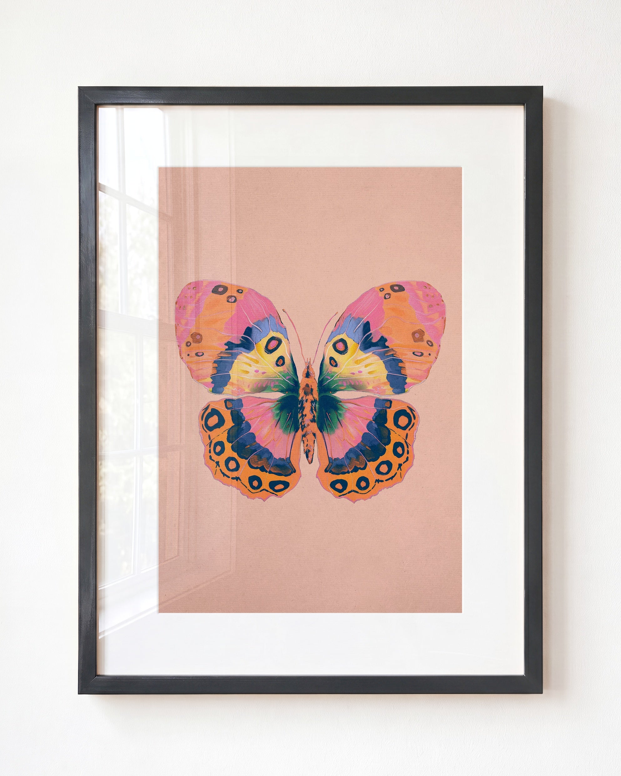Color Bloom Butterfly Collection