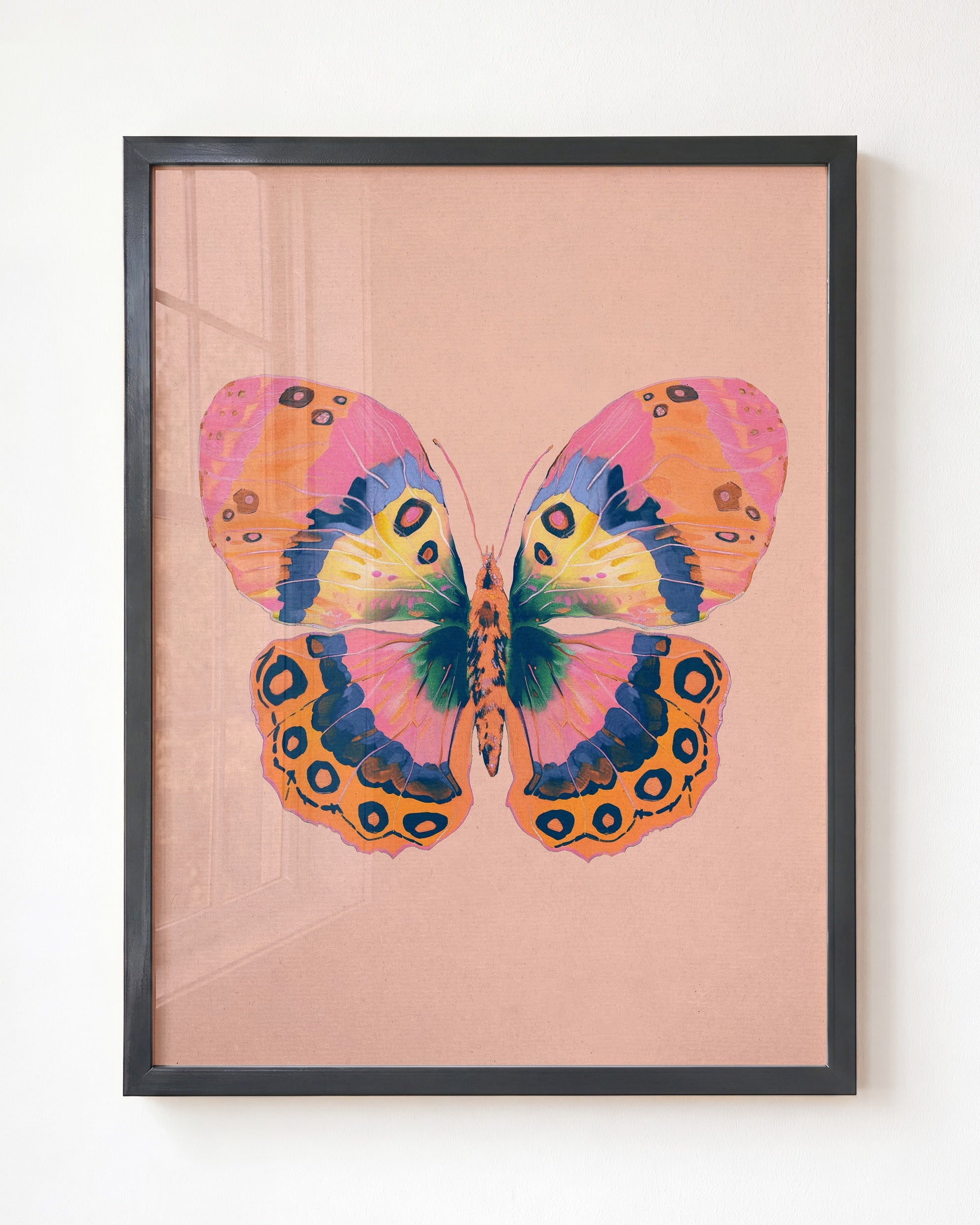 Color Bloom Butterfly Collection