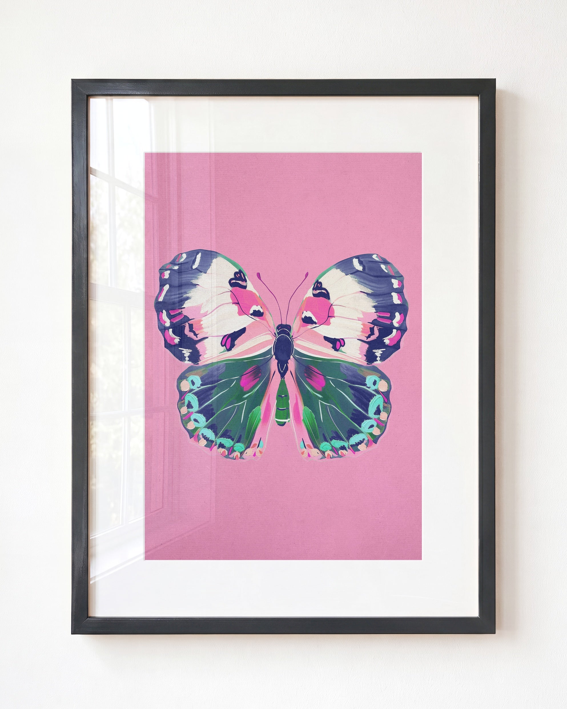 Color Bloom Butterfly Collection