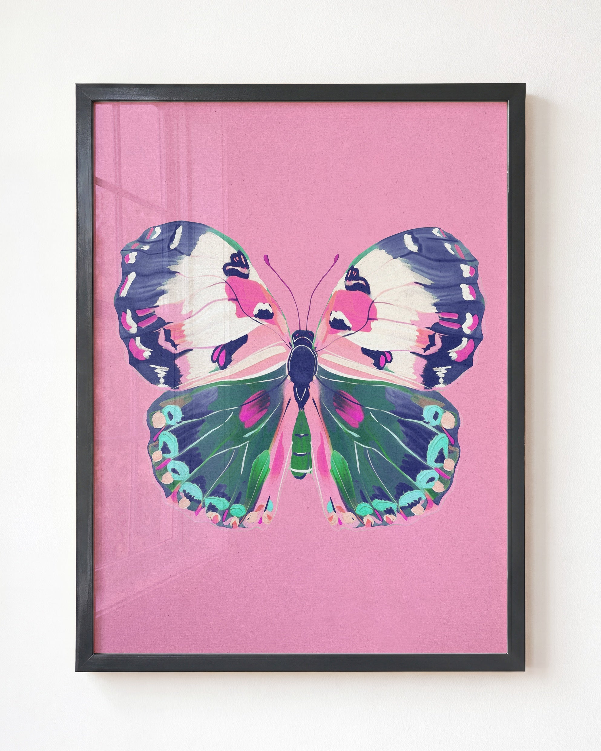 Color Bloom Butterfly Collection