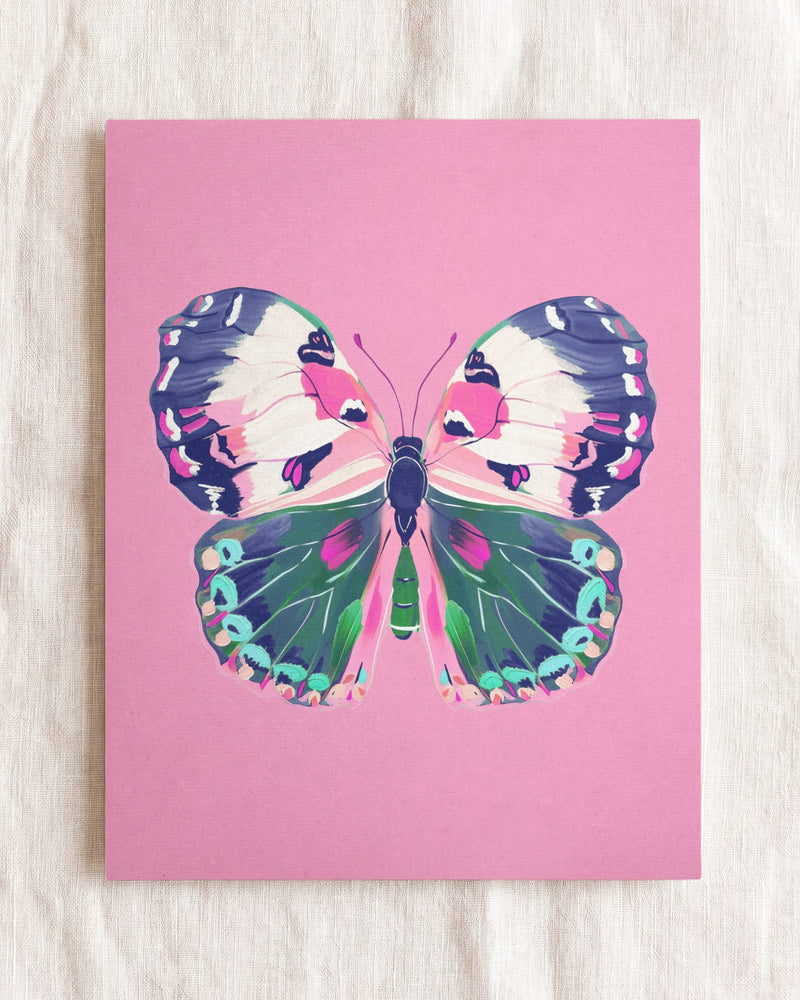 Butterfly 3