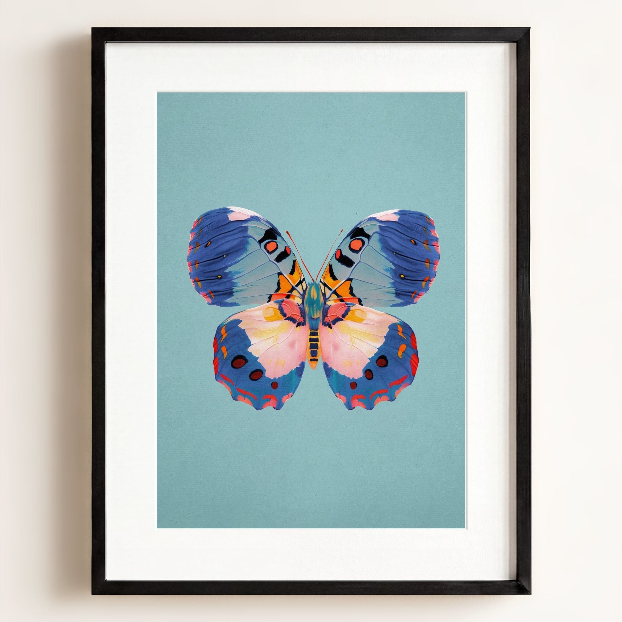 Color Bloom Butterfly Collection