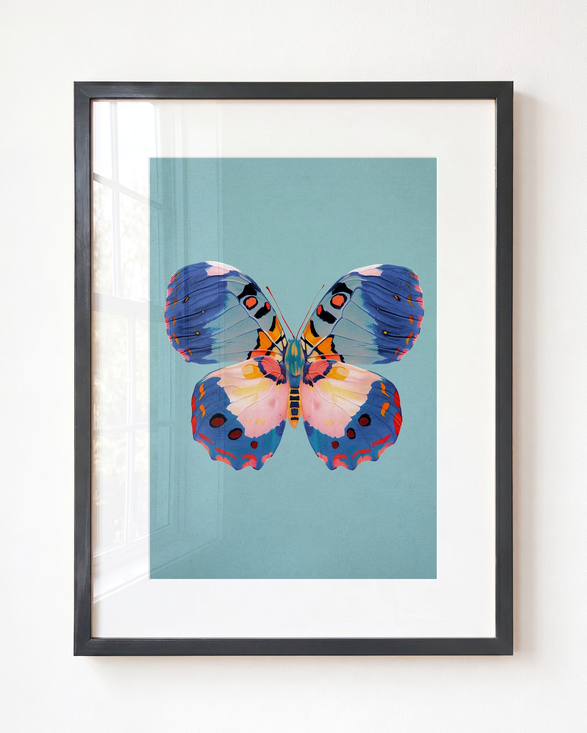 Color Bloom Butterfly Collection