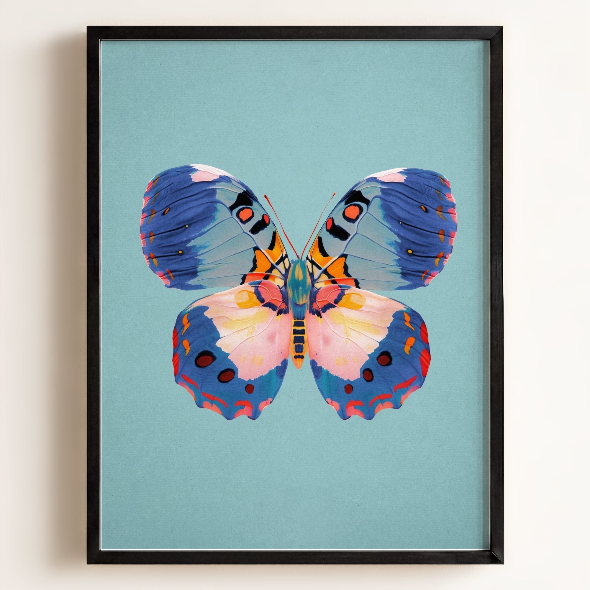 Color Bloom Butterfly Collection