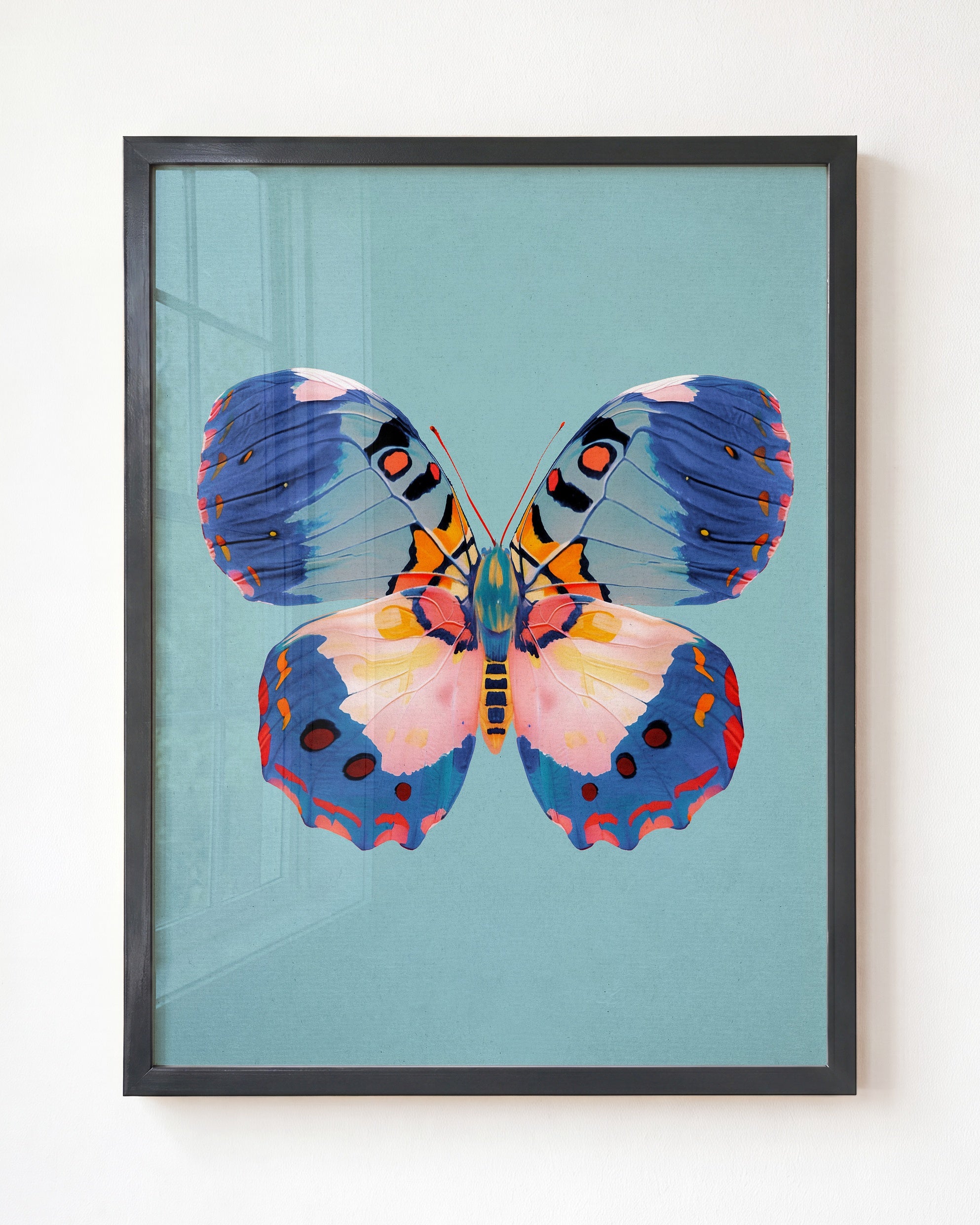 Color Bloom Butterfly Collection