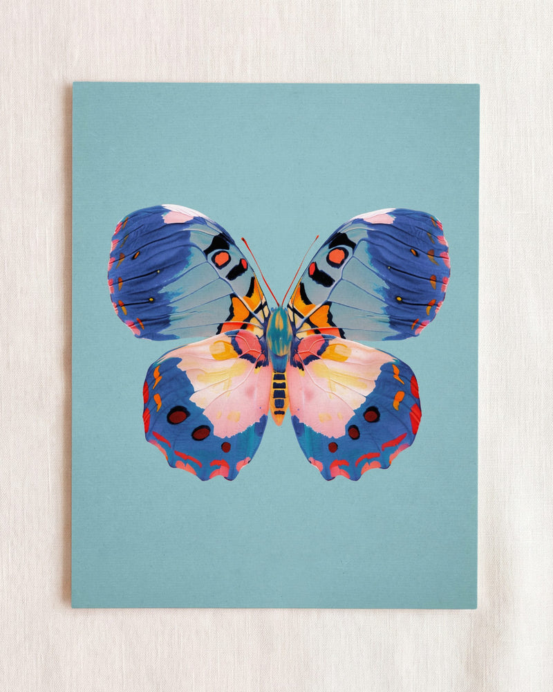 Butterfly 4