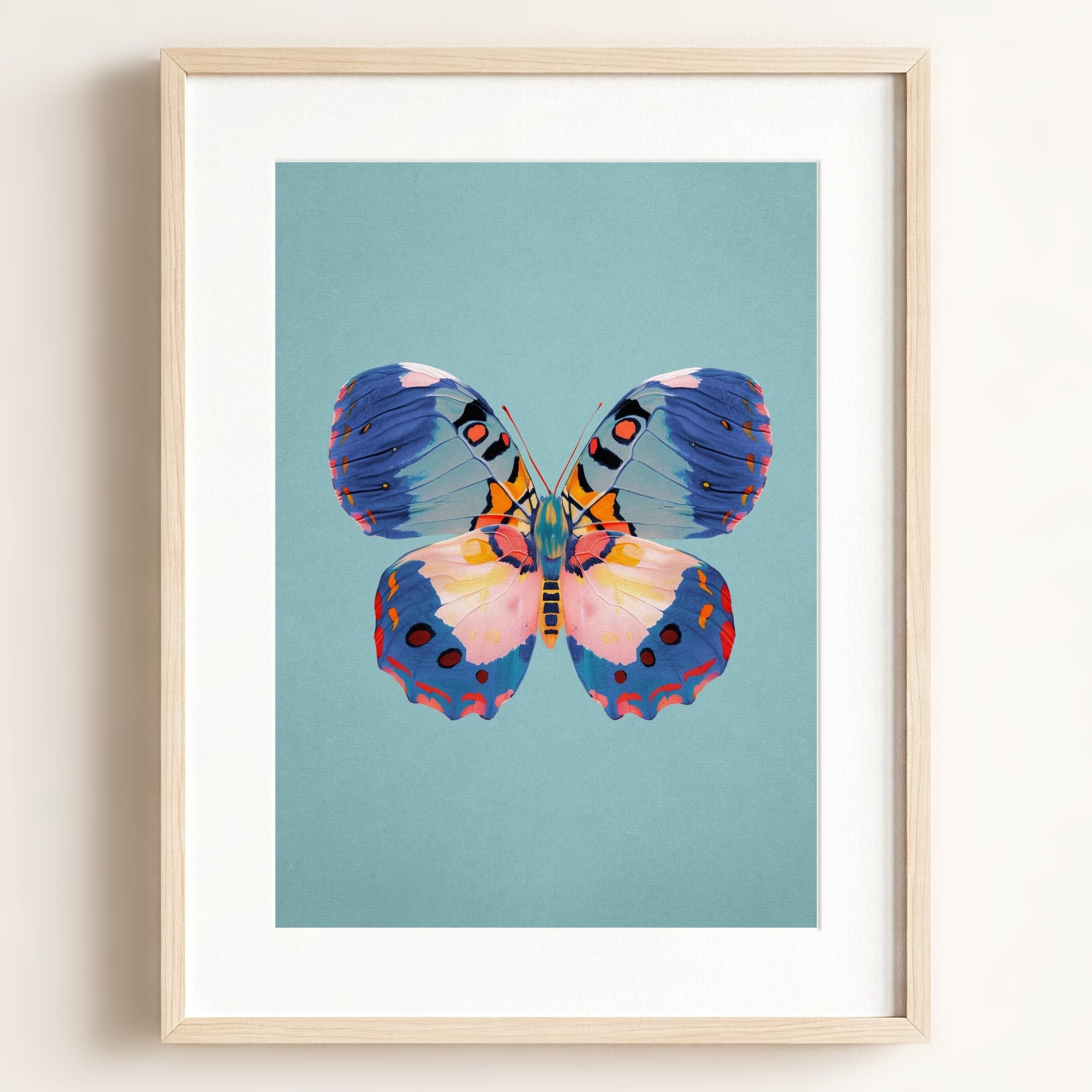 Color Bloom Butterfly Collection