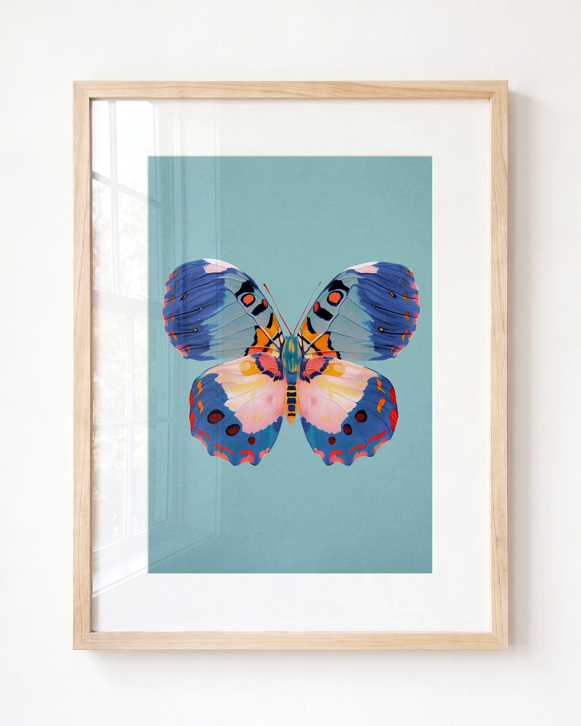 Color Bloom Butterfly Collection