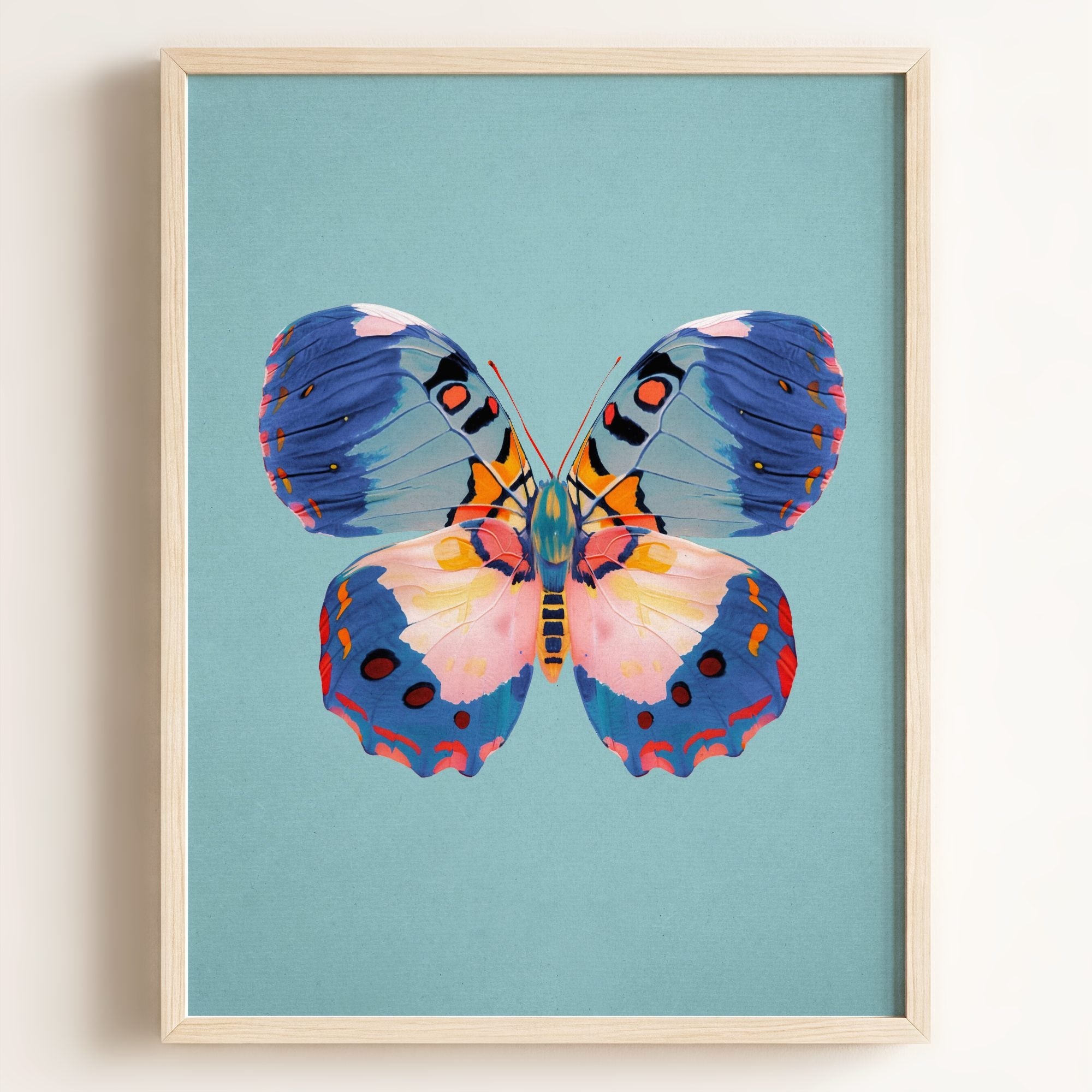 Color Bloom Butterfly Collection