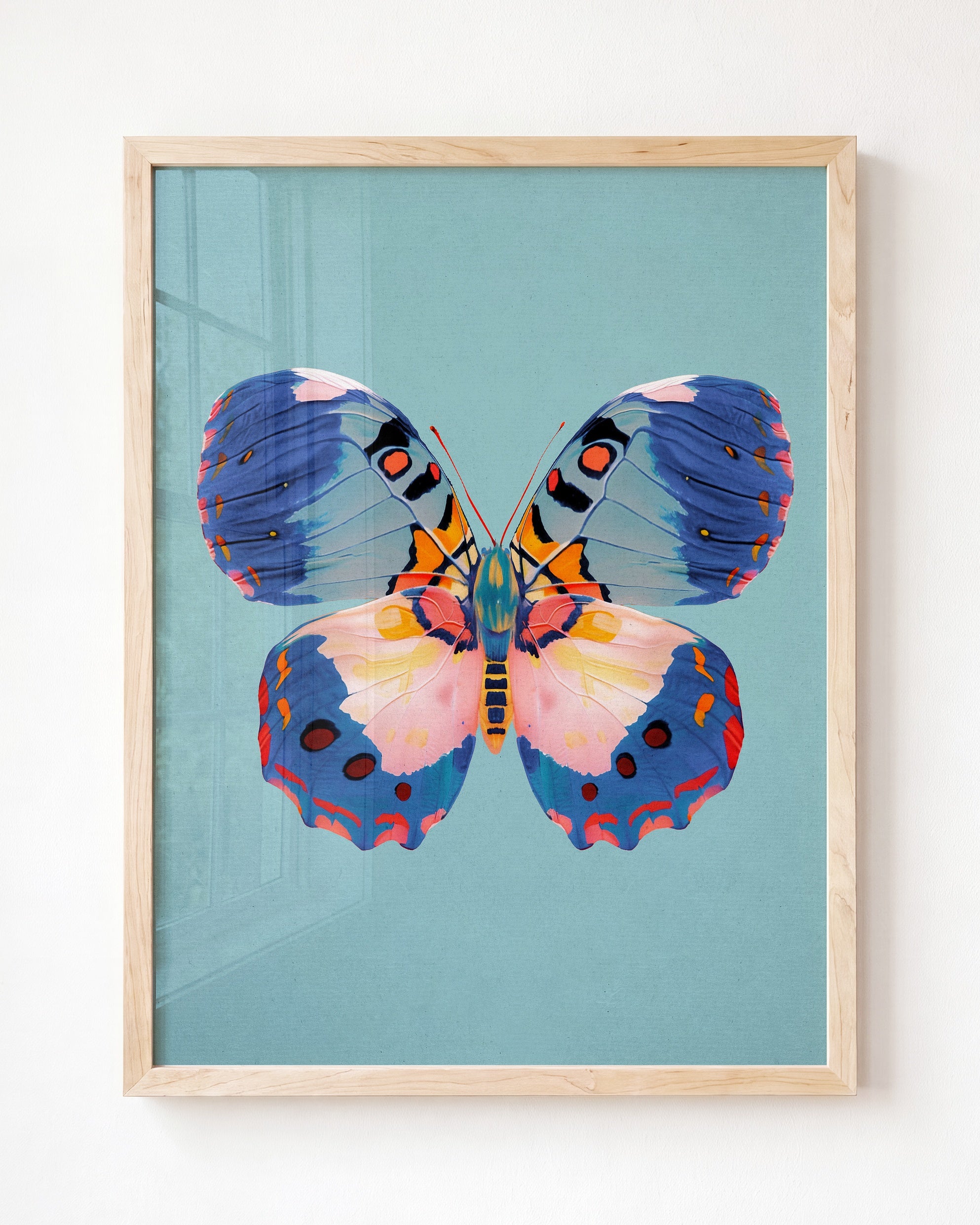 Color Bloom Butterfly Collection