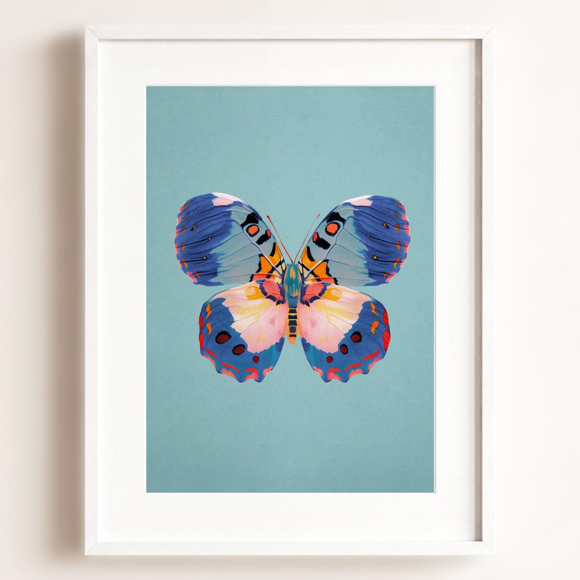 Color Bloom Butterfly Collection