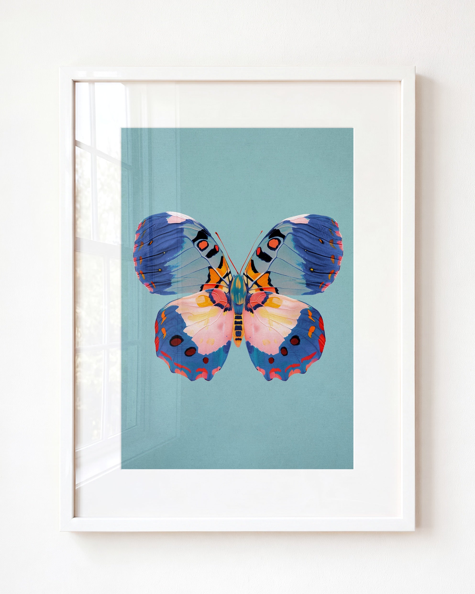 Color Bloom Butterfly Collection
