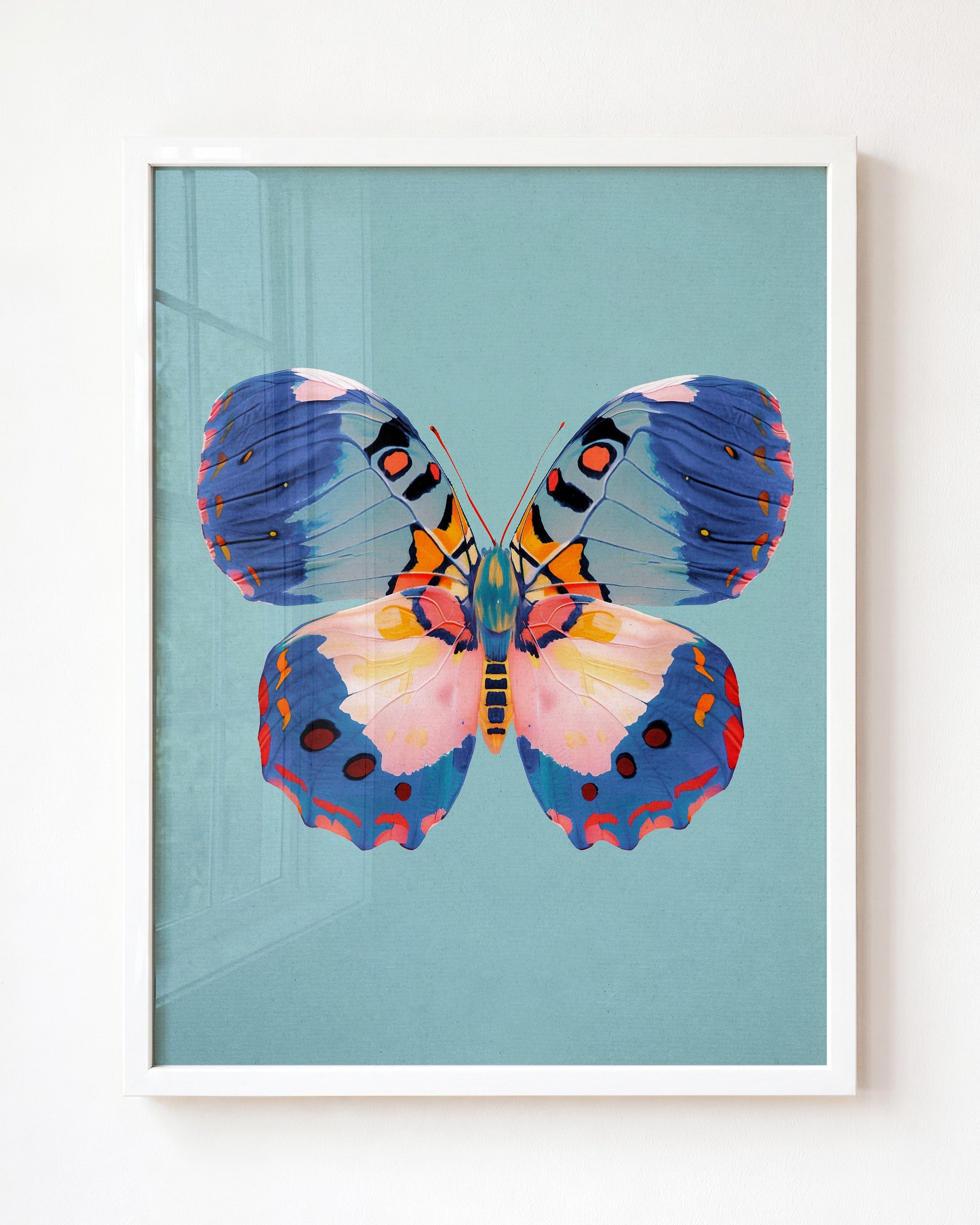 Color Bloom Butterfly Collection