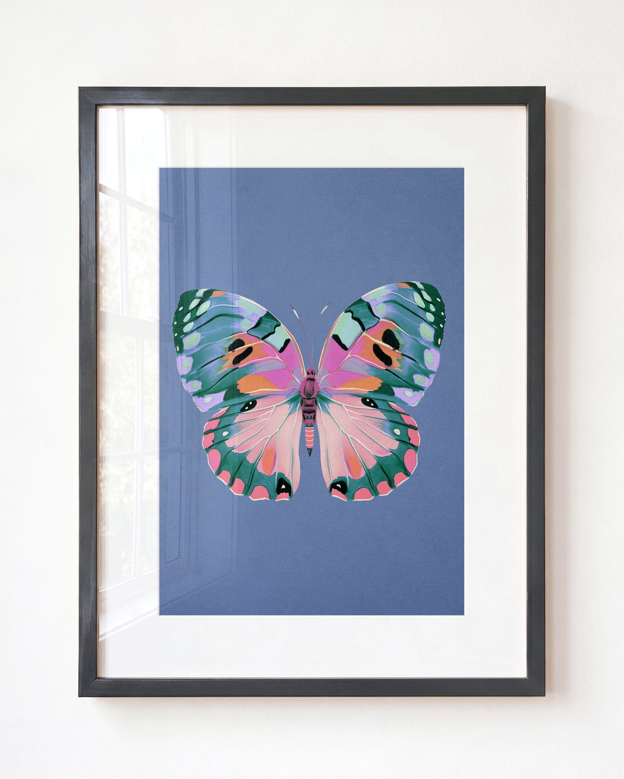 Color Bloom Butterfly Collection