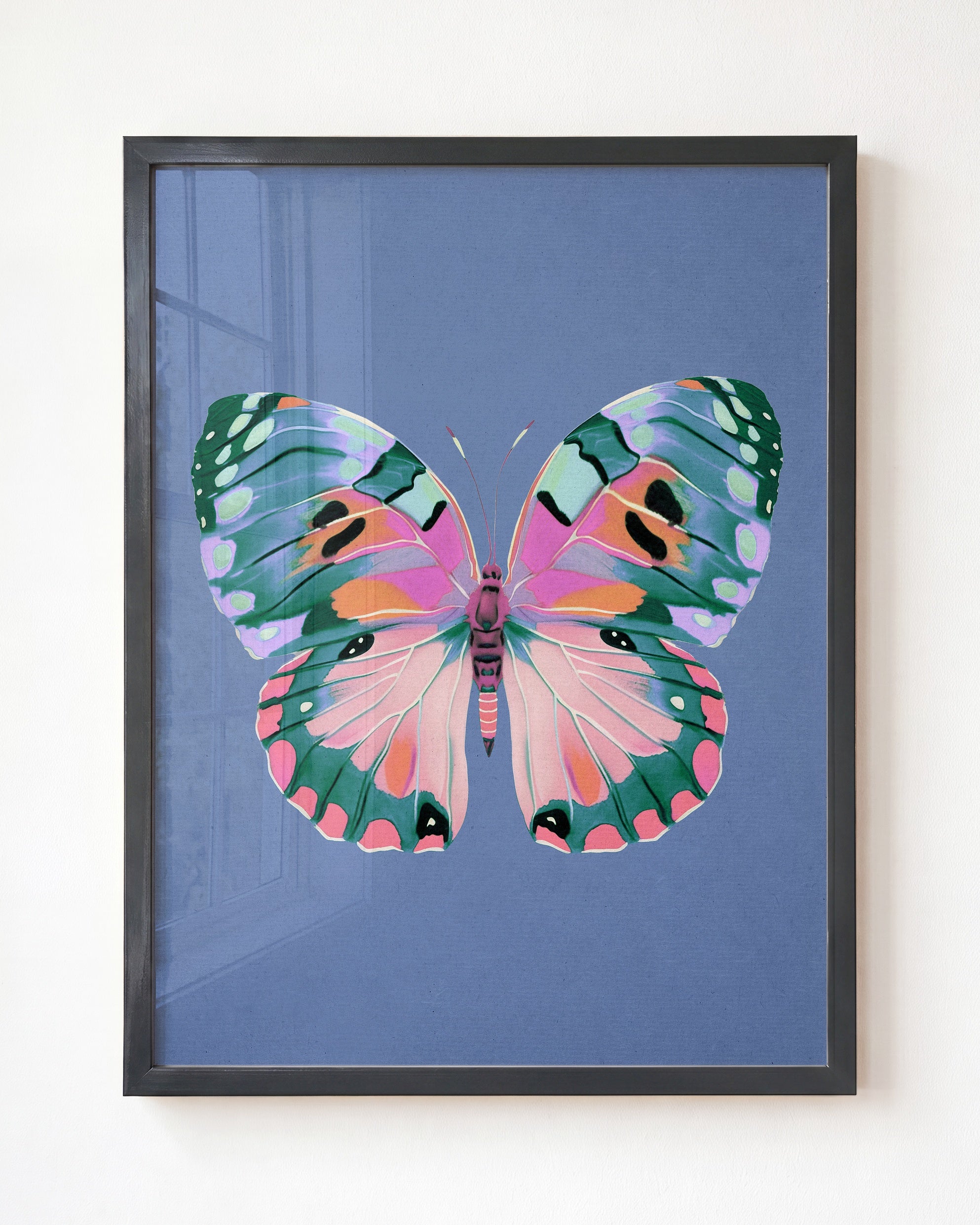 Color Bloom Butterfly Collection