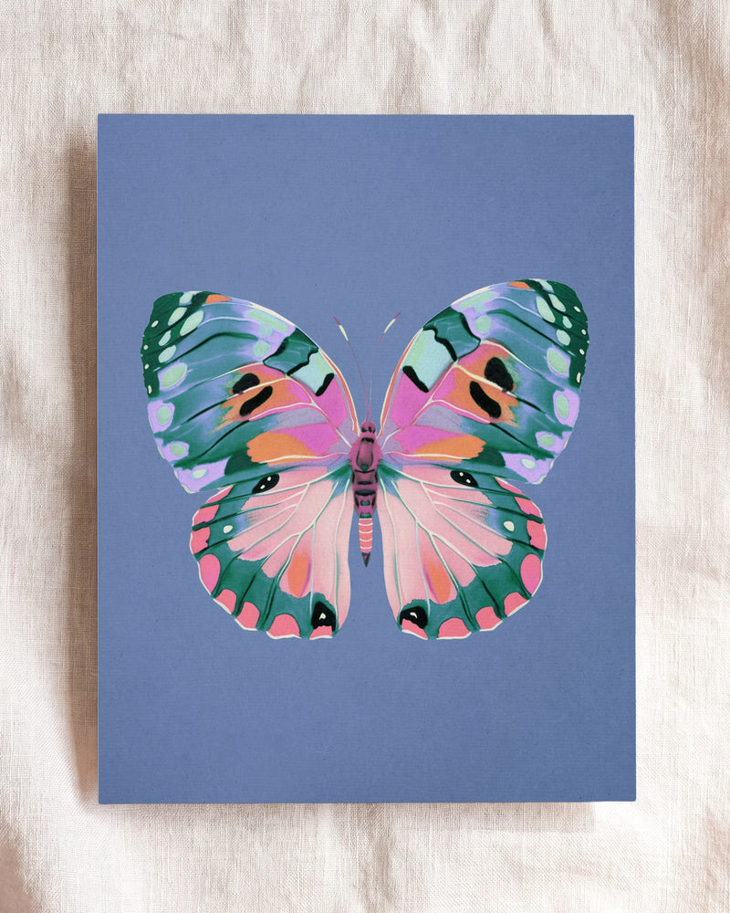 Butterfly 5