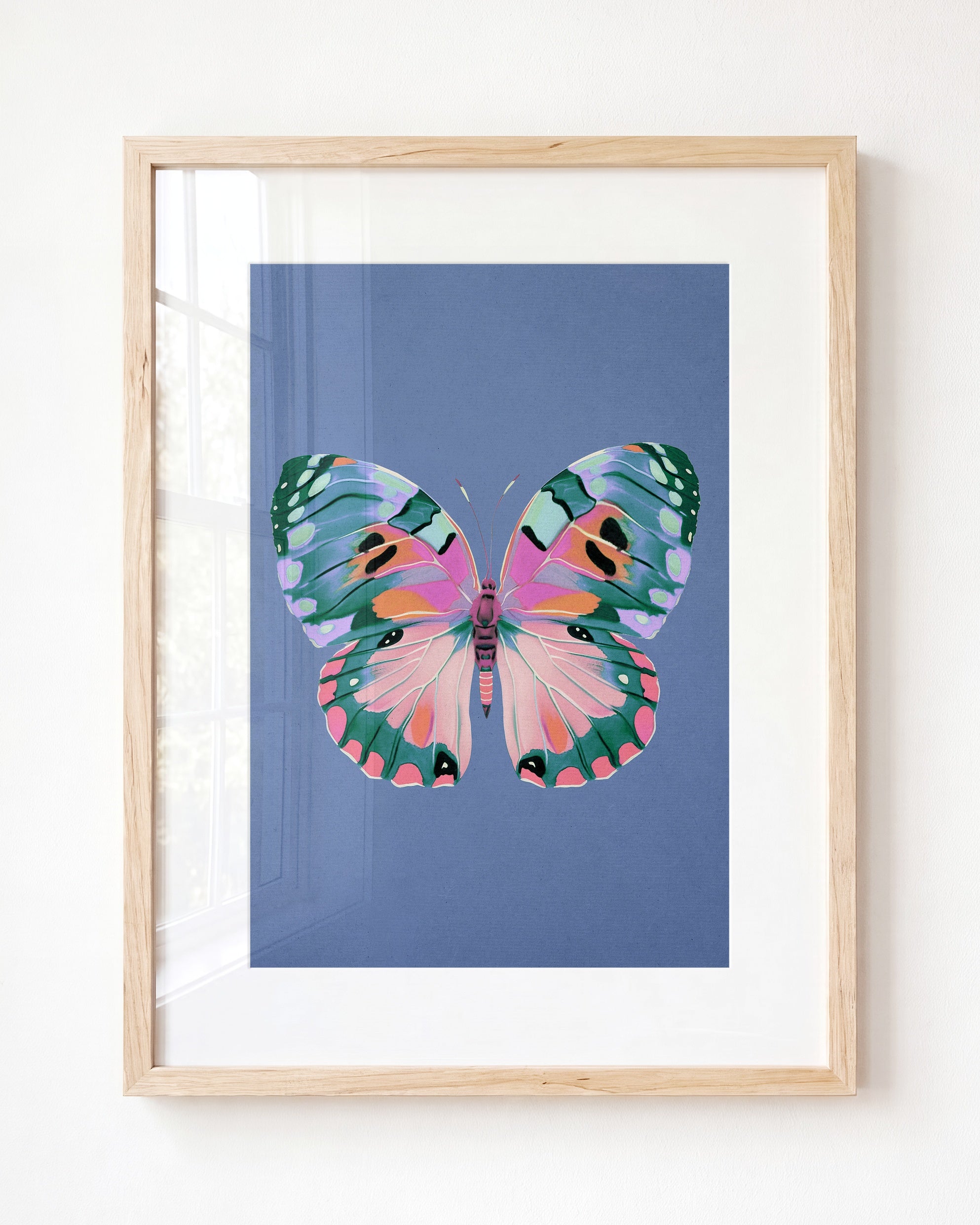 Color Bloom Butterfly Collection