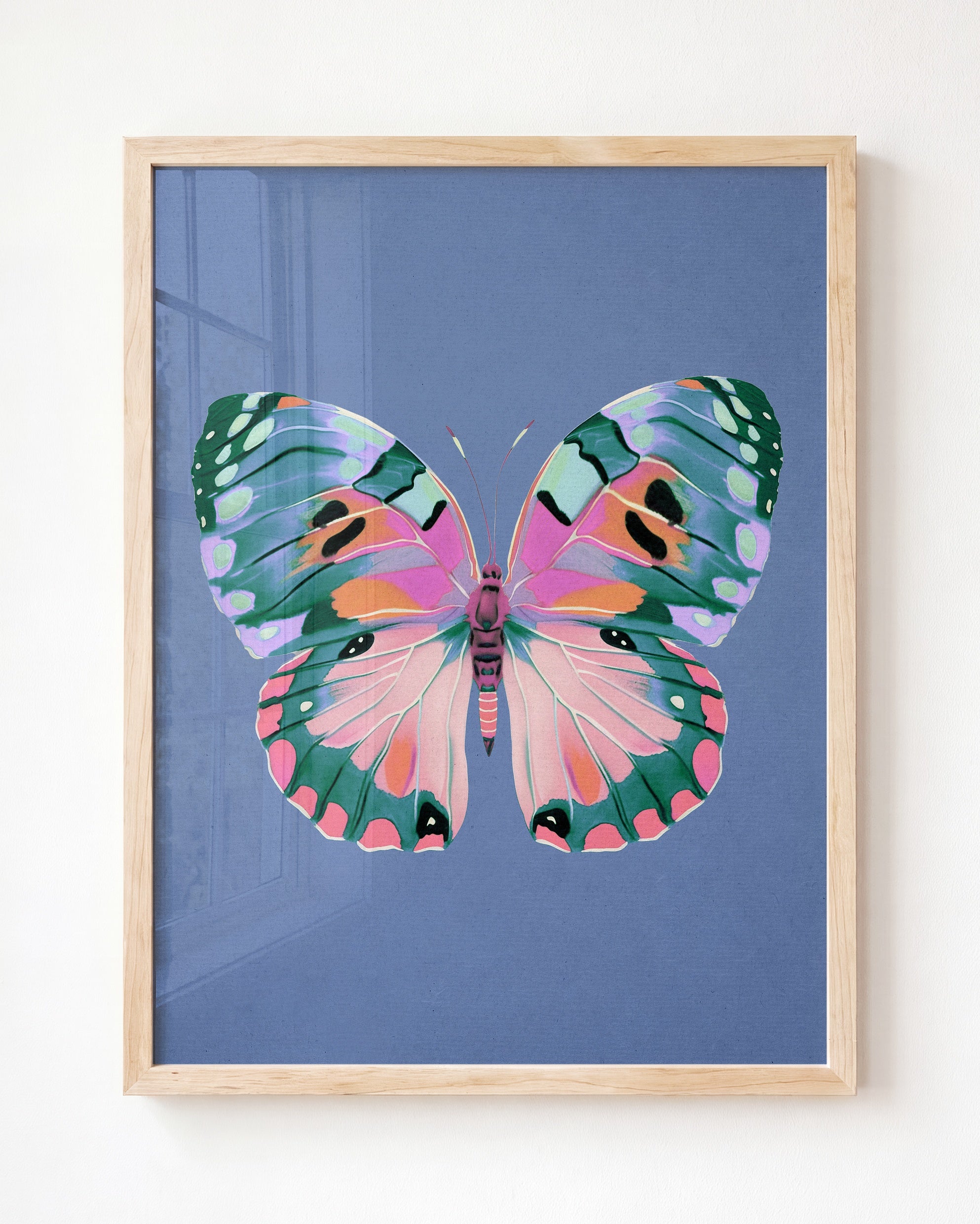 Color Bloom Butterfly Collection