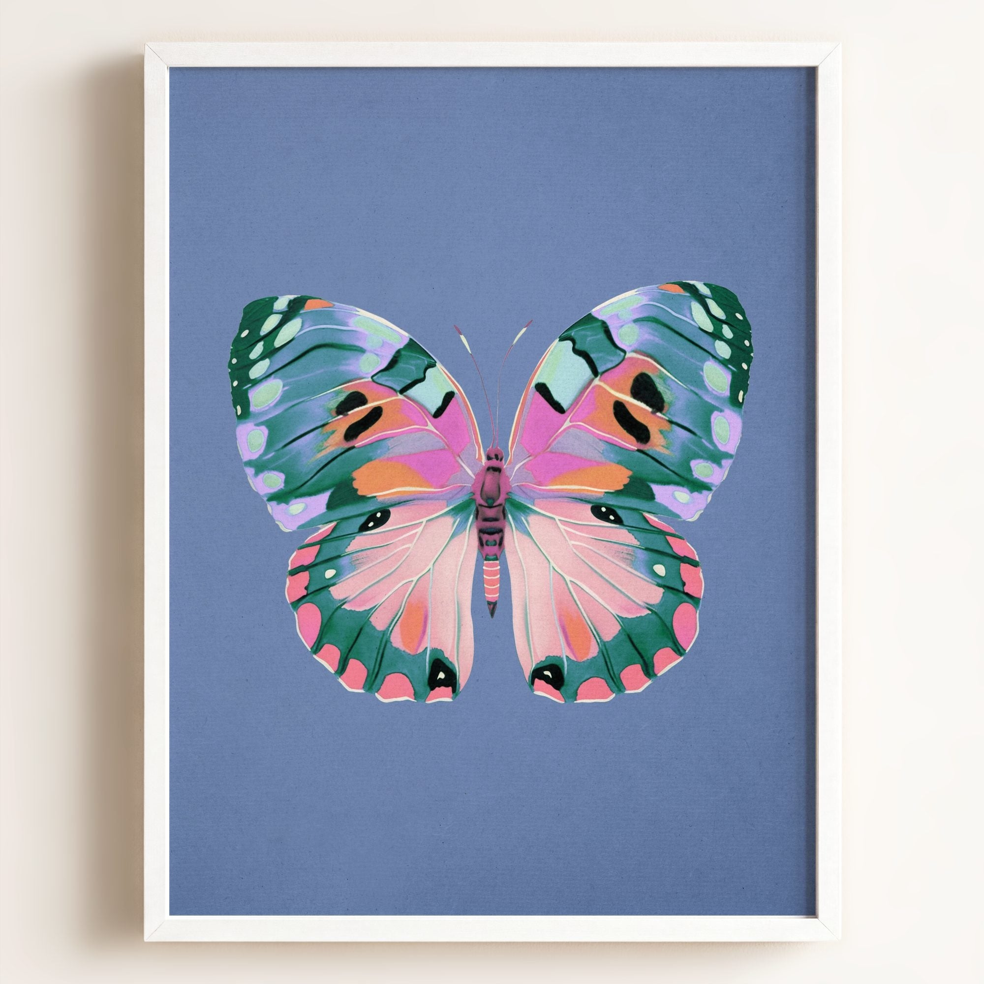 Color Bloom Butterfly Collection