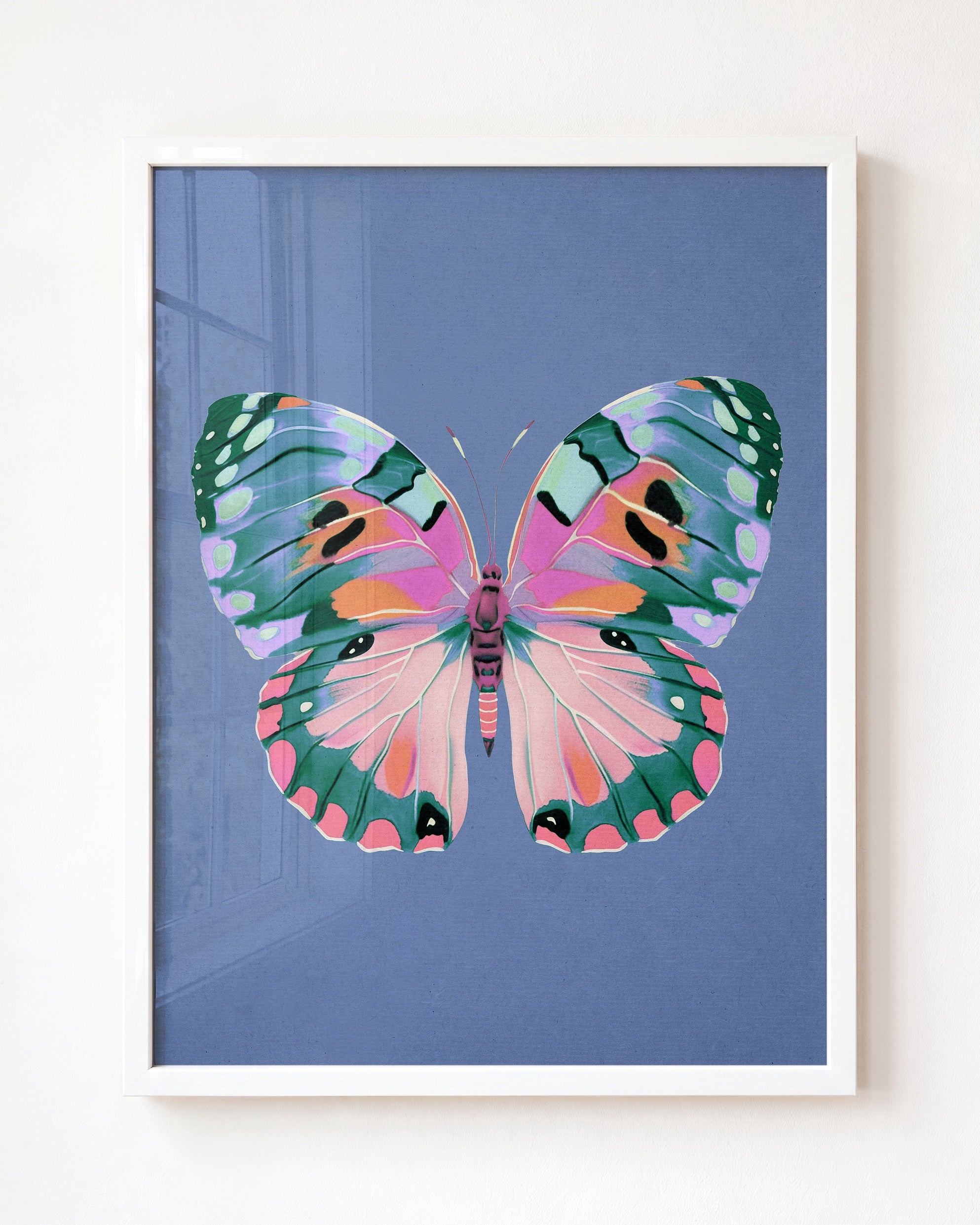 Color Bloom Butterfly Collection